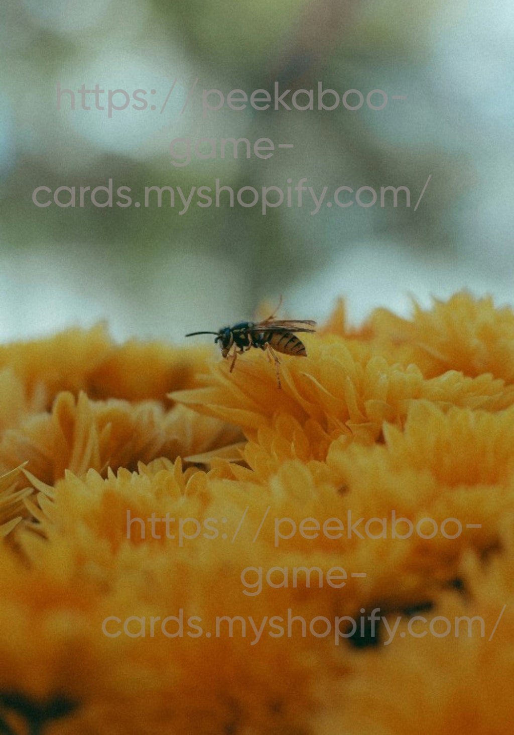 Hi Honey Baby Shower Game Card